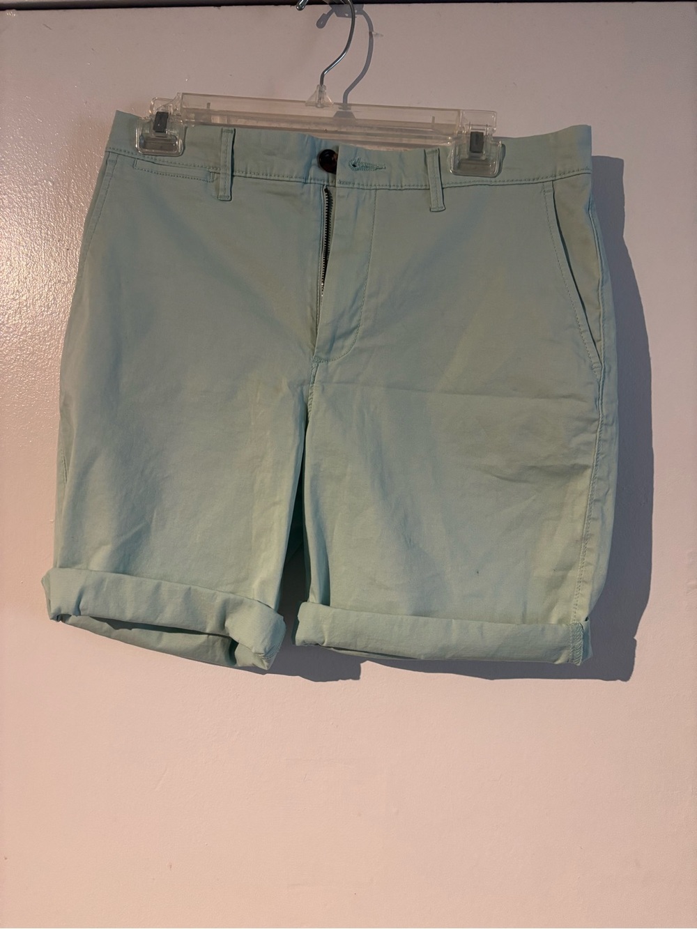 Goodfellow & Co Mint Green Flat Front Chino Shorts Men’s Size 30 NWT
(1171)